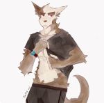  anthro bottomwear brown_body brown_fur canid canine clock clothed clothing clothing_lift fur hi_res male mammal presenting red_eyes rin_i9 shirt shirt_lift shorts simple_background solo t-shirt tan_body tan_fur topwear watch white_background 