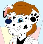 anthro canid canine canis dalmatian domestic_dog male mammal princehatter45 profile solo unknown_artist 