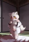  amber_eyes anthro bedroom blush canid canine chest_tuft clothing female flat_chested fox genitals gingitsune haru_(gingitsune) kokkoman looking_at_viewer mammal pussy shy slightly_chubby solo tuft undressing white_body young 
