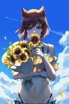  1girl aircraft airplane animal_ears bangs bare_shoulders blue_sky bouquet brown_eyes brown_hair cloud collarbone commentary_request condensation_trail covering_mouth day donggua_bing_cha flower groin highres holding holding_bouquet holding_flower layered_clothing looking_at_viewer navel original outdoors petals short_hair short_sleeves sidelocks sky solo stomach sunflower sunflower_petals thong yellow_flower 