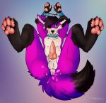  anthro bdsm blush bondage bondage_gear bound canid canine canis collar cuffs_(clothing) domestic_dog elkhound erection feet genitals handpaw hi_res legs_up male mammal one_eye_closed pawalo pawpads paws penis solo spitz spread_legs spreading tongue tongue_out userfriendly wink 
