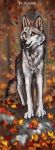  2020 black_nose canid canine canis day detailed_background digital_media_(artwork) flashw forest fur grey_body grey_fur mammal open_mouth outside smile teeth tongue tree wolf yellow_eyes 