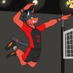  1:1 action_pose anthro anthrofied ball bottomwear clothed clothing fully_clothed fuze hi_res lucas_(fuze) male nintendo pok&eacute;mon pok&eacute;mon_(species) pose shirt shorts solo sport sportswear t-shirt topwear torracat video_games volleyball volleyball_(ball) volleyball_net 