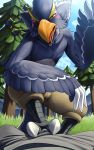  10:16 2020 anthro avian beak biped bird bird_feet black_body black_feathers bottomwear breath_of_the_wild bulge clothed clothing detailed_background dialogue domination duo feathers first_person_view foot_on_crotch green_eyes hi_res katahane3 looking_at_viewer looking_down male male/male nintendo open_mouth outside pants revali rito solo_focus talking_to_viewer the_legend_of_zelda tongue topless video_games 