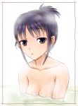  1girl alternate_hairstyle animal_on_head bangs bath bathing black_hair breasts bug commentary_request dripping eyebrows_visible_through_hair insect kitaura_sou ladybug looking_at_viewer medium_breasts nude on_head partially_submerged purple_eyes short_ponytail solo steam tamura_yuri watashi_ga_motenai_no_wa_dou_kangaetemo_omaera_ga_warui! water water_drop 