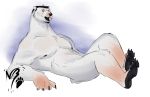  absurd_res anthro blue_eyes feet foot_focus fur hi_res male mammal nnightbear_b paws polar_bear solo ursid ursine 