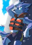  5_fingers anthro canid canine clothed clothing fingers fur hi_res kai11k life_jacket male mammal multicolored_body multicolored_fur solo swimming_trunks swimwear 