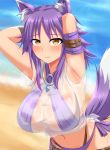  1girl 3: absurdres animal_ear_fluff animal_ears arm_belt arm_strap armpits arms_behind_head bangs beach bikini blush breasts cleavage commentary_request cowboy_shot eyebrows_visible_through_hair groin highres large_breasts leg_belt long_hair looking_at_viewer makoto_(princess_connect!) midriff murasame navel ocean princess_connect! princess_connect!_re:dive purple_bikini purple_hair sand see-through shirt short_sleeves side-tie_bikini sidelocks skindentation solo standing swimsuit t-shirt tail tied_shirt wet wet_clothes wet_shirt white_shirt wolf_ears wolf_girl wolf_tail yellow_eyes 