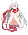  kyo9999 langrisser pointy_ears pussy tagme uncensored 
