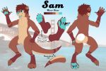  3:2 anthro california chest_tuft feet front_view fur hi_res lutrine male mammal membrane_(anatomy) model_sheet mowshi multicolored_body multicolored_fur mustelid neck_tuft open_mouth pawpads paws rear_view reference_image river_otter sam_(mowshi) smile solo text thick_tail tuft two_tone_body two_tone_fur webbed_feet webbed_hands 