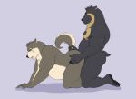 2020 anal anthro belly black_body black_fur canid canine canis dioni5 domestic_dog duo fur humanoid_hands male male/male mammal moritaka overweight overweight_male scar sex simple_background spectacled_bear tokyo_afterschool_summoners tremarctine ursid video_games 