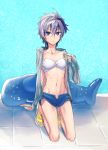  1girl arm_support bikini commentary_request danaka flower_(vocaloid) full_body grey_jacket inflatable_toy inflatable_whale jacket kneeling looking_at_viewer midriff multicolored_hair nail_polish navel pool purple_eyes purple_hair sandals short_hair solo streaked_hair swimsuit tile_floor tiles v_flower_(vocaloid4) vocaloid whale white_bikini white_hair yellow_nails 
