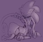  all_fours anal anal_penetration anthro blush doggystyle duo espio_the_chameleon from_behind_position genitals hi_res long_tail looking_pleasured male male/male penetration penis royalbootlace sex simple_background sonic_the_hedgehog sonic_the_hedgehog_(series) 