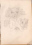  amberfan care_bears noble_heart_horse tagme true_heart_bear 