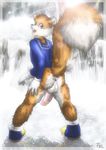  anus balls bottomless clothed clothing conker conker&#039;s_bad_fur_day furryratchet half-dressed male penis solo standing 