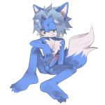  1:1 3_toes anthro balls blue_balls blue_body blue_ears blue_fur blue_tail canid canine chest_tuft erection feet fox fur fur_tuft genitals hair hi_res looking_at_viewer male mammal nude penis r18 soles solo toes tuft two_tone_tail 