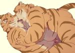  2020 absurd_res anthro belly blush duo felid genitals hi_res hug humanoid_hands kemono kissing male male/male mammal overweight overweight_male pantherine penis quanjiang simple_background tiger white_background 