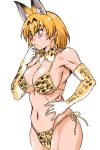  animal_ears bikini blush bow bowtie commentary_request elbow_gloves gloves hand_on_hip kemono_friends manabe_jouji navel orange_hair print_bow print_gloves serval_(kemono_friends) serval_ears serval_print side-tie_bikini swimsuit white_background yellow_eyes 