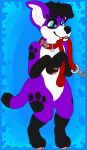  anthro bearsmug black_hair canid canine canis collar domestic_dog elkhound floppy_ears fur hair leash leash_in_mouth male mammal object_in_mouth pawalo purple_body purple_fur solo spitz waiting walkies 
