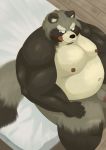  2020 anthro balls bed belly brown_body brown_fur canid canine fur furniture genitals hisashiyo_0705 kemono male mammal moobs nipples overweight overweight_male penis raccoon_dog sitting solo tanuki tongue tongue_out 