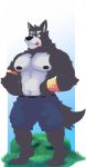  adastra amicus_(adastra) anthro blue_eyes bottomwear bracelet canid canine canis clothing echo_project frankescobarx fur grey_body grey_fur hi_res jewelry male mammal muscular muscular_male nipples shorts solo tongue tongue_out video_games visual_novel wolf 