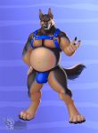  2020 anthro belly big_belly blue_eyes bulge canid canine canis clothing dad_bod domestic_dog fur german_shepherd gesture grin harness herding_dog hi_res jockstrap male mammal multicolored_body multicolored_fur navel overweight overweight_male pastoral_dog pecs smile solo standing underwear vallhund 