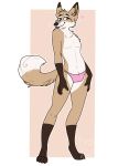  &lt;3 alpha_channel anthro bean bean_the_fox bulge canid canine clothed clothing fox girly male mammal panties pinup pose solo straycattrash suggestive topless underwear 