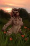  anthro big_breasts blood bodily_fluids breasts female flower fur gnoll grey_body grey_fur grey_hair hair hyaenid kyssick looking_at_viewer mammal nude outside plant solo solo_focus stripes sunset tribal yellow_eyes 