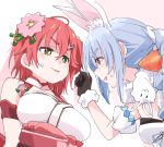  2girls animal_ears black_gloves blue_hair blush breasts bunny_ears carrot_hair_ornament eyebrows_visible_through_hair flower flower_brooch food_themed_hair_ornament gloves green_eyes hair_flower hair_ornament hololive ixy large_breasts long_hair looking_at_another multiple_girls red_eyes red_hair sakura_miko short_hair simple_background usada_pekora virtual_youtuber wall_slam white_background 