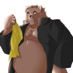  1:1 2017 anthro baru_x2 brown_body brown_fur clothed clothing fur humanoid_hands male mammal open_shirt overweight overweight_male shirt simple_background solo topwear ursid white_background 