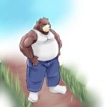  1:1 2017 anthro baru_x2 belly bottomwear brown_body brown_fur clothing fur humanoid_hands male mammal overweight overweight_male pants shirt solo topwear ursid 