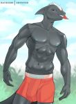  abs anthro erthy3d fish lifeguard male marine muscular muscular_anthro muscular_male shark solo solo_focus summer 