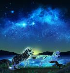  2020 black_body black_fur black_nose canid canine canis detailed_background digital_media_(artwork) fur grass hi_res mammal night open_mouth outside sky spots spotted_body spotted_fur star starry_sky teeth tongue white_body white_fur wolf wolf250 