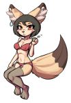  2020 black_hair black_nose bra canid canine clothing dipstick_ears dipstick_tail ear_piercing ear_ring female fennec fox fur garter_straps hair hi_res inner_ear_fluff legwear looking_at_viewer mammal multicolored_ears multicolored_tail navel piercing short_hair simple_background sitting solo stockings tan_body tan_fur tuft underwear waffl3sk4t white_background 