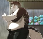  2020 anthro belly blush bottomwear bulge canid canine canis clothing detailed_background domestic_dog hi_res humanoid_hands kemono male mammal nikiciy overweight overweight_male pants raining shirt solo topwear wet 