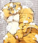  2020 anthro armpit_hair balls bathing belly body_hair felid genitals hi_res kemono male mammal moobs nipples overweight overweight_male pantherine penis solo suishou0602 tiger water wet 