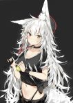  animal_ears heterochromia silver_(chenwen) tagme tennis 