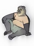  2020 3:4 anthro bottomwear clothing hi_res lentejota6 male mammal overweight overweight_male shirt shorts simple_background sitting solo spectacled_bear topwear tremarctine ursid white_background 