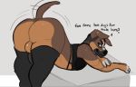  anthro ass_up balls big_butt butt canid canine canis clothed clothing crossdressing crossdressing_male domestic_dog english_text eyewear genitals glasses male mammal penis presenting presenting_hindquarters solo text 