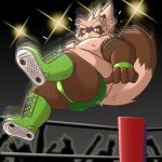  1:1 2020 anthro belly brown_body brown_fur butt canid canine clothing fighting_ring fur hi_res humanoid_hands kemono male mammal mind_drive mizuse_higomaru moobs nipples overweight overweight_male raccoon_dog solo_focus tanuki underwear wrestling 