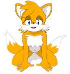  2_tails all_fours alpha_channel anthro areola blue_eyes breasts canid canine crossgender female fox hi_res jetfrozen looking_at_viewer mammal miles_prower mtf_crossgender multi_tail nipples nude simple_background solo sonic_the_hedgehog_(series) tailsko_(sonic) transparent_background 
