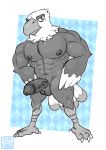  absurd_res accipitrid accipitriform animal_crossing anthro apollo_(animal_crossing) avian bald_eagle balls beak bird claws digital_media_(artwork) eagle erection feathered_wings feathers genitals hi_res humanoid humanoid_genitalia humanoid_penis male muscular muscular_anthro muscular_male nintendo nipples nude pecs penis sea_eagle simple_background smile solo ursa-m1nor video_games wings 