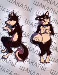  akinya anthro body_pillow canid canine canis dakimakura_design dakimakura_pillow dakimakura_pose domestic_dog hi_res male mammal pillow shiba_inu spitz zero_pictured 