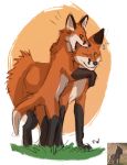  2020 canid canine digital_media_(artwork) duo feral flashlioness fox mammal standing 