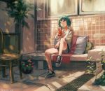  1girl black_footwear brown_eyes chair cola eyebrows_visible_through_hair green_hair kouka_(mrakano5456) long_sleeves looking_away original plant potted_plant scenery shirt shoes short_hair shorts sitting sneakers solo watermark web_address white_shirt 