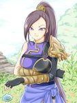  1girl armor asymmetrical_armor asymmetrical_sleeves black_sleeves blue_sash breast_hold breasts cloud commentary_request dragon_quest dragon_quest_xi dress fingerless_gloves gloves grass hair_ornament high_ponytail jappo large_breasts light_smile long_hair long_ponytail martina_(dq11) mountain outdoors purple_dress purple_eyes purple_hair sash single_pauldron single_sleeve slime_(dragon_quest) solo upper_body very_long_hair 