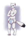  anthro babystar claws crossed_arms diaper digitigrade hi_res long_neck looking_at_viewer male mammal mustela mustelid musteline perry_(irnub) simple_background solo standing stoat toe_claws whiskers 
