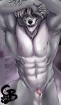  2019 abs animal_genitalia animal_penis anthro balls black_lips black_nose canid canine canis detailed_background eye_patch eyewear fully_sheathed fur genitals goldeyboi grey_body grey_fur hi_res lips looking_at_viewer male mammal muscular muscular_anthro muscular_male navel nintendo nipples nude penis pink_nipples poking_out red_eyes sheath shower signature smile solo star_fox steam teeth video_games wet wet_body wet_fur wolf wolf_o&#039;donnell 