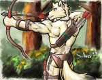  anthro arctic_wolf arrow back_muscles bow canid canine canis clothing loincloth male mammal quiver silverferak silvernarrukka solo tribal wolf 