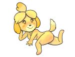  4:3 5_fingers absurd_res animal_crossing blonde_hair blush canid canine canis dipstick_tail domestic_dog female fingers fur hair hi_res isabelle_(animal_crossing) looking_at_viewer mammal multicolored_tail nintendo nude shih_tzu simple_background smile solo toy_dog video_games white_background yellow_body yellow_fur 